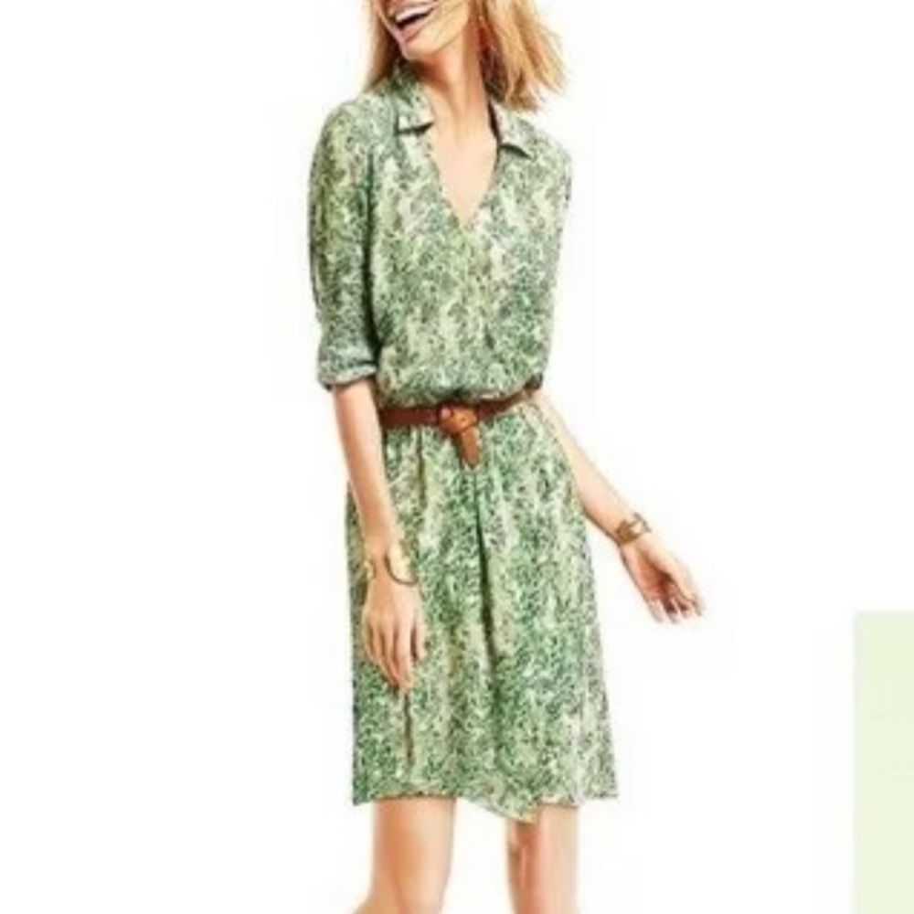 CAbi Shift Dress